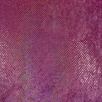 Ciniglia fucsia carnevale spettacolo con paillettes (2)