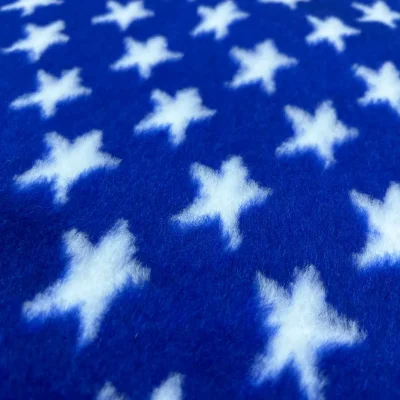 Pelliccetta carnevale blu elettrico bianco stelle grandi (1)