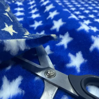 Pelliccetta carnevale blu elettrico bianco stelle grandi (4)