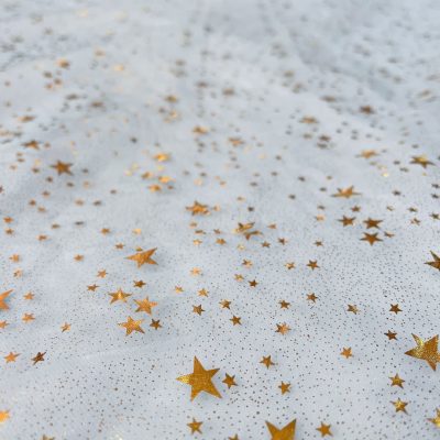 Organza azzurra con stelle metallizzate oro 4