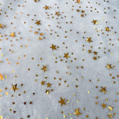Organza azzurra con stelle metallizzate oro 3