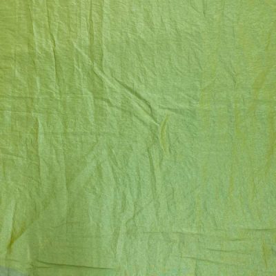 Taffet&agrave; cangiante leggermente stropicciato 2