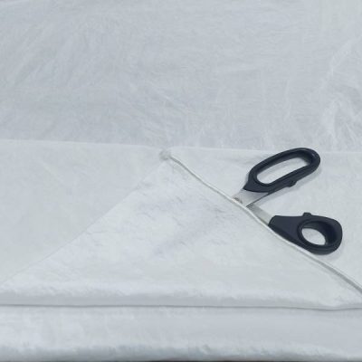 Taffet&agrave; cangiante leggermente stropicciato 1