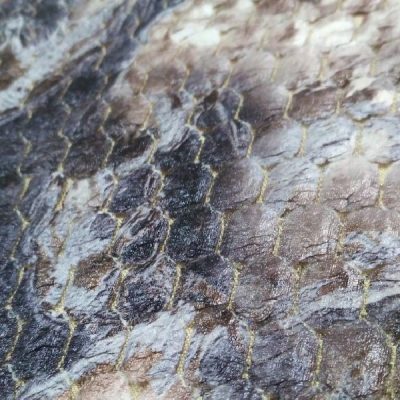 Tessuto gommato al tatto beige bordeaux 7