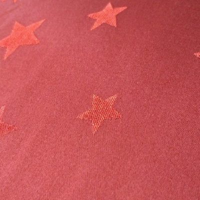 Tessuto lucido natalizio vellutato 1