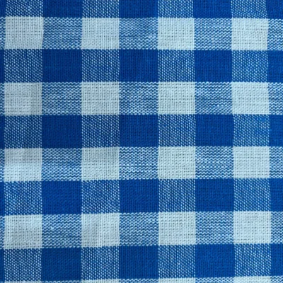 Tovagliato vichy blu bianco (1)