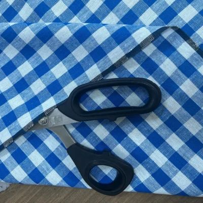 Tovagliato vichy blu bianco (3)