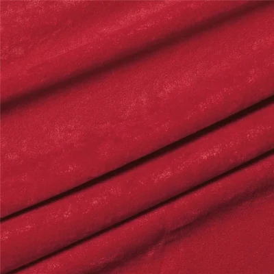 Daino 18 BORDEAUX