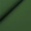 2101 Verde Bandiera