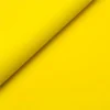 2117 Giallo