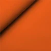 2124 Arancio