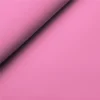 2141 Rosa